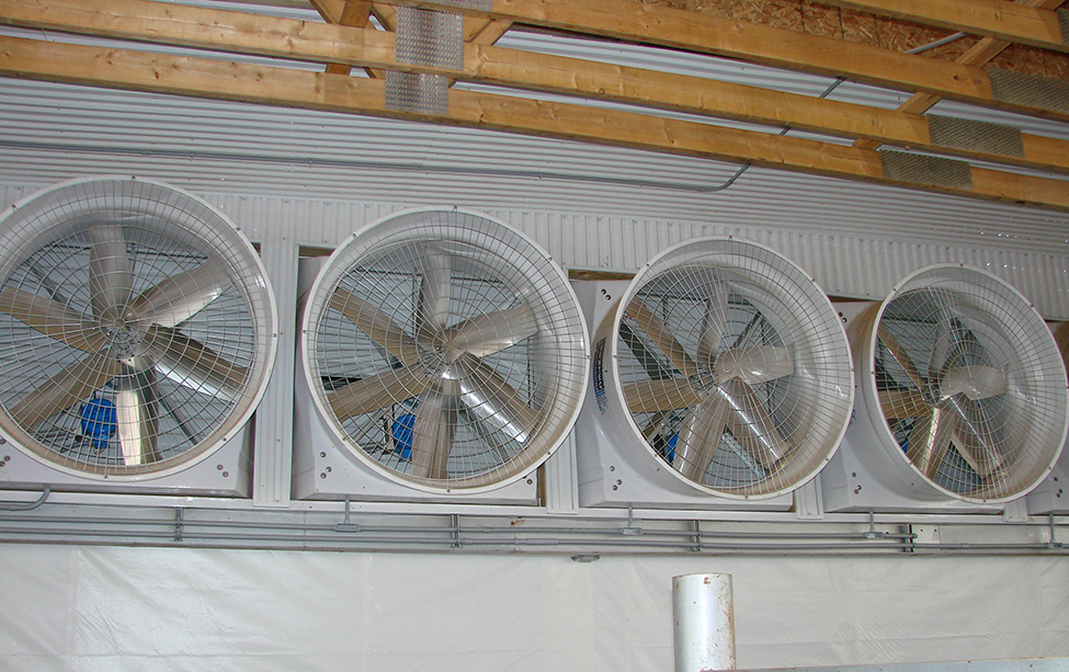 four large wall mounted fans