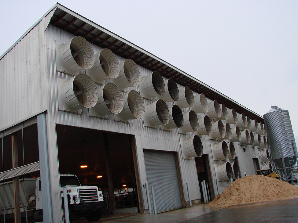 outside of a dairy barn showing barn wall covered with fans