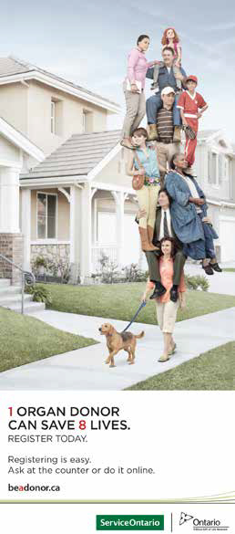 An image of the cover of the Trillium Gift of Life organ donor brochure used in this trial. The top three quarters of the brochure cover features a photo of a woman walking her dog carrying eight people on her back. Underneath this photo the text reads “1 organ donor can save 8 lives. Register today.”