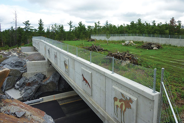 The Ministry of Transportation created a wildlife overpass on Highway 69. This picture shows the overpass and its functionality for wildlife to cross a busy highway.