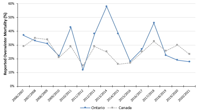 The percentage of overwinter mortality reported by beekeepers in both Ontario and Canada from 2007 to 2021.