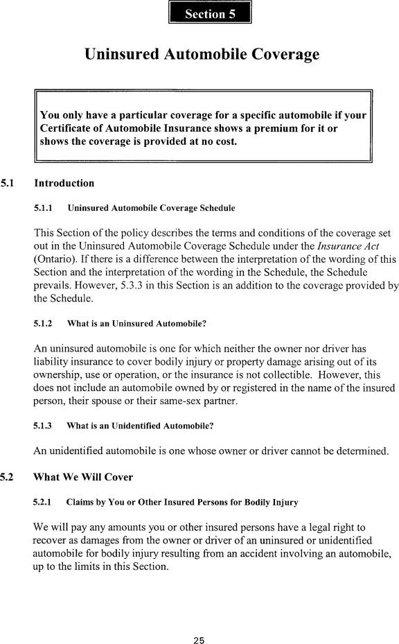 Title: Ontario Automobile Policy (OAP 1) - Description: Photocopy of Ontario Automobile Policy (OAP 1)