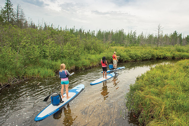 Photo of three ladies doing some stand up paddleboarding on a waterway in Algonquin Park.