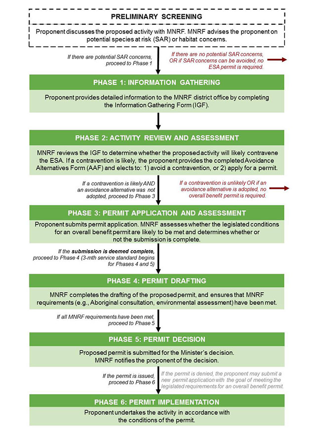 A flow chart describing the activity review and permitting approval process.
First : Preliminary Screening - Proponent discusses the proposed activity with MNRF. MNRF advises the proponent on potential species at risk (SAR) or habitat concerns.
If there are potential SAR concerns proceed to Phase 1, if there are no potential SAR concern, or if SAR concerns can be avoided, no ESA permit is required.
Phase1: Information Gathering - Proponent provides detailed information to the MNRF district office by completing
the Information Gathering Form (IGF).
Phase 2: Activity Review and Assessment - MNRF reviews the IGF to determine whether the proposed activity will likely contravene the ESA. If a contravention is likely, the proponent provides the completed Avoidance Alternatives Form (AAF) and elects to: 1) avoid a contravention, or 2) apply for a permit.If a contravention is unlikely or if an avoidance alternative is adopted, no overall benefit permit is required. If a contravention is likely and an avoidance alternative was not adopted, proceed to Phase 3.
Phase 3: Permit application and assessment - Proponent submits permit application. MNRF assesses whether the legislated conditions for an overall benefit permit are likely to be met and determines whether or not the submission is complete. If the submission is deemed complete,
proceed to Phase 4 (3-month service standard begins for Phases 4 and 5)
Phase 4: Permit drafting - MNRF completes the drafting of the proposed permit, and ensures that MNRF requirements (e.g., Aboriginal consultation, environmental assessment) have been met. If all MNRR requirement shave been met, proceed to Phase 5.
Phase 5: Permit Decision - Proposed permit is submitted for the Minister’s decision.MNRF notifies the proponent of the decision.If the permit is denied, the proponent may submit a new permit application with the goal of meeting the legislated requirements for an overall benefit permit. If the permit is issued,proceed to Phase 6.
Phase 6: Permit Implementation - Proponent undertakes the activity in accordance with the conditions of the permit.