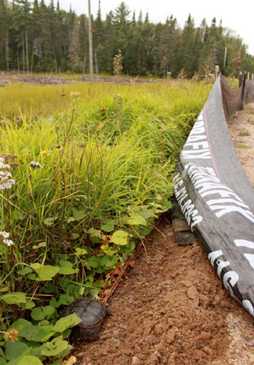 Figure 1: Image showing light-duty geotextile fencing.