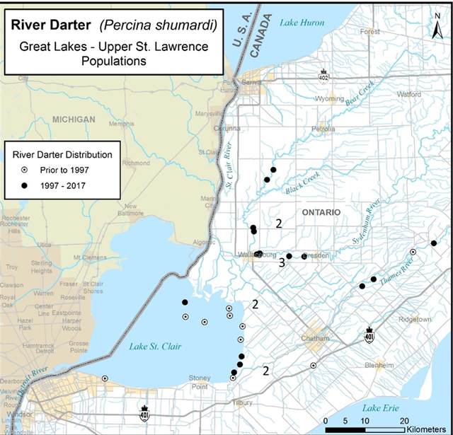 A map of southern Ontario showing the distribution of river darter. Locations with river darter encountered prior to 1997 are differentiated from those with occurences from 1997 to 2017.