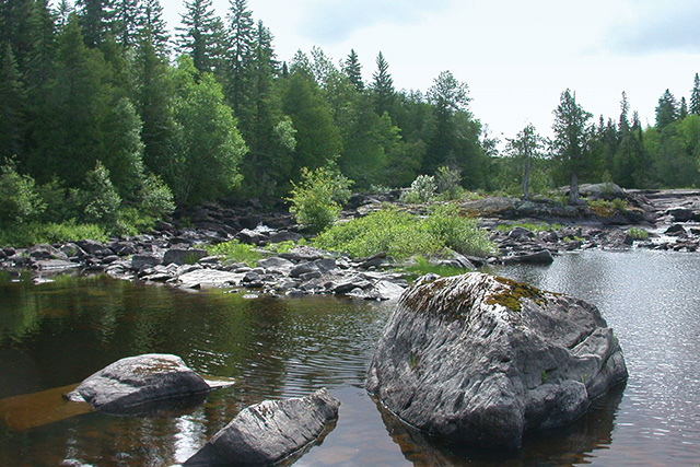 Photo of a wetland in White Otter Rapids, near Kapuskasing.