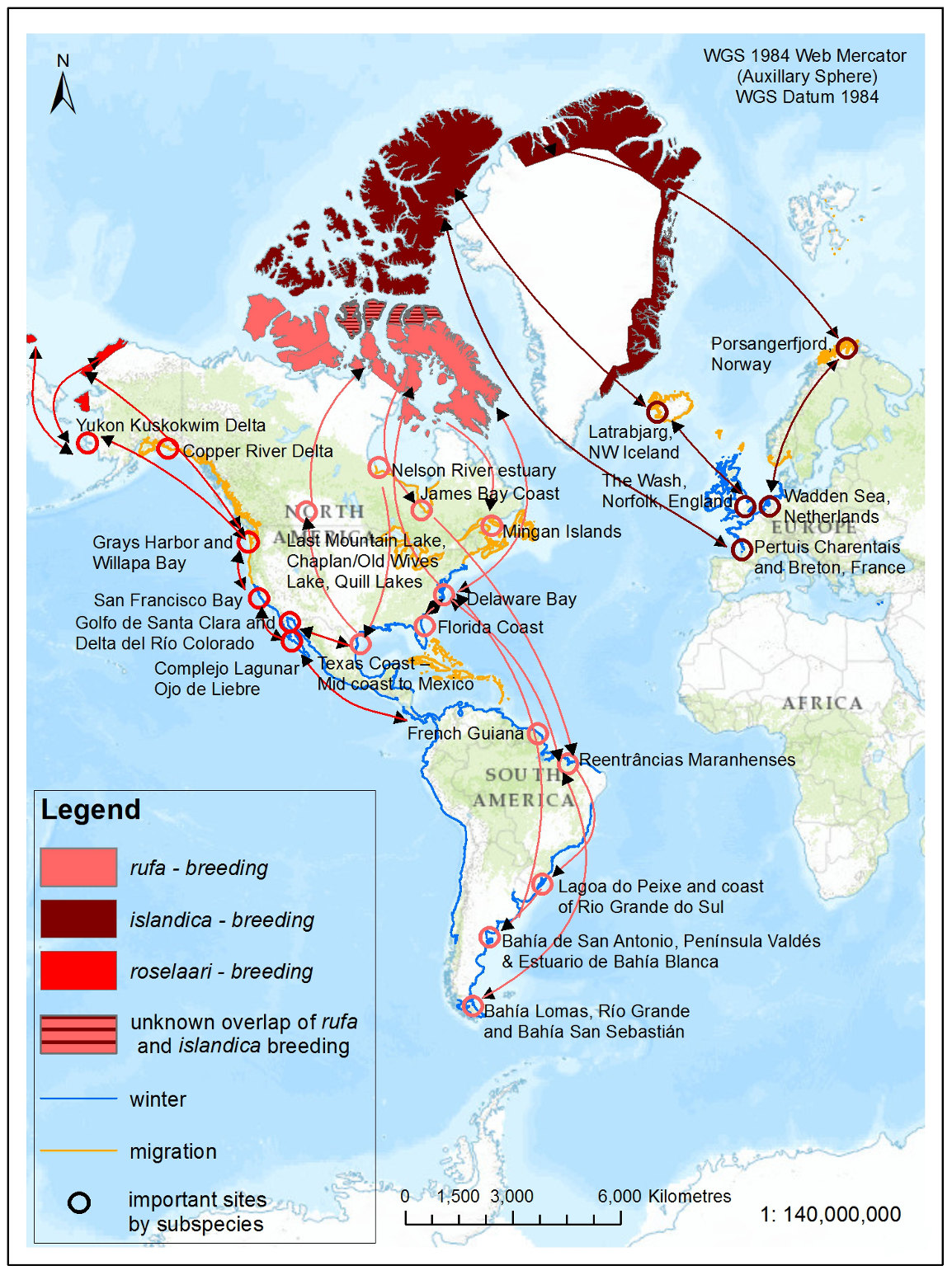 Map of Red Knot habitat areas and migration routes. 