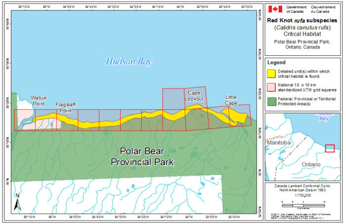 Map of stopover critical habitat for rufa in Polar Bear Provincial Park, Ontario (see long description below)