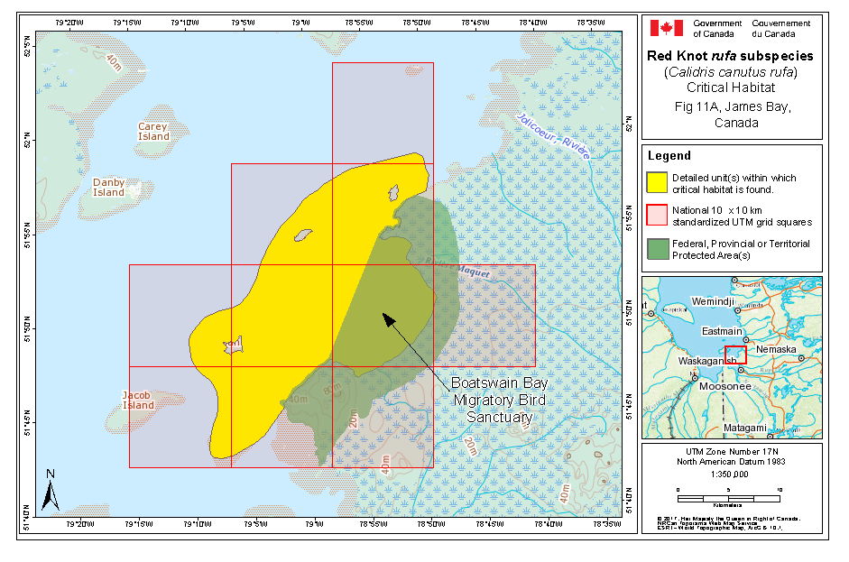 Map of critical habitat for rufa in James Bay, Canada part a