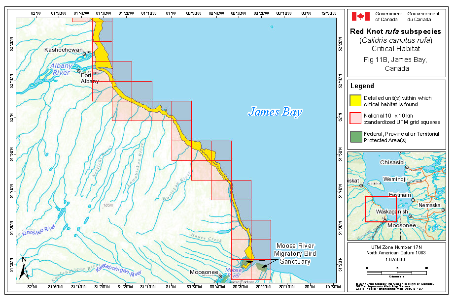 Map of critical habitat for rufa in James Bay, Canada part b