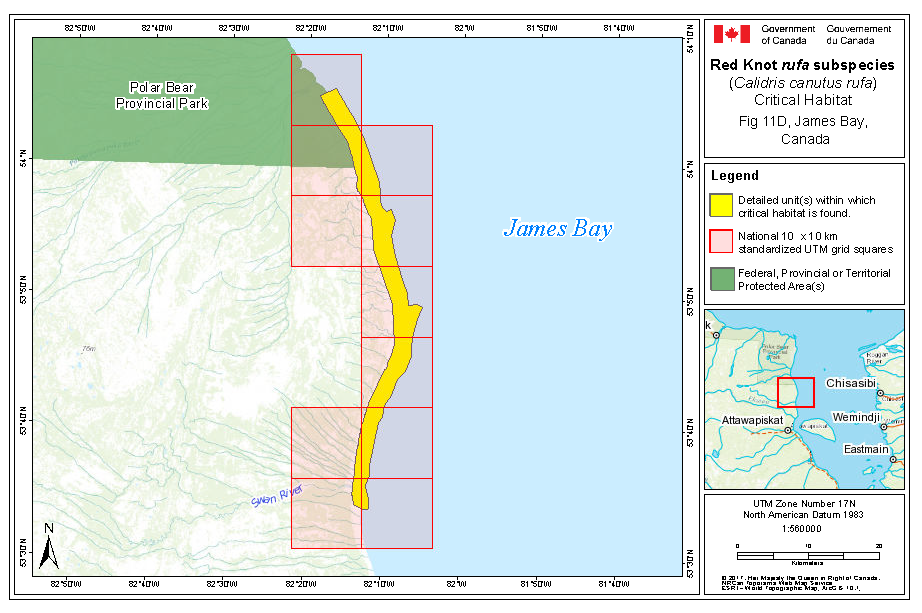 Map of critical habitat for rufa in James Bay, Canada part d
