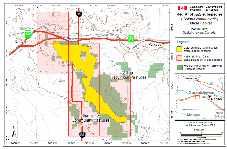 Map of Critical habitat in Chaplin Lake, Saskatchewan