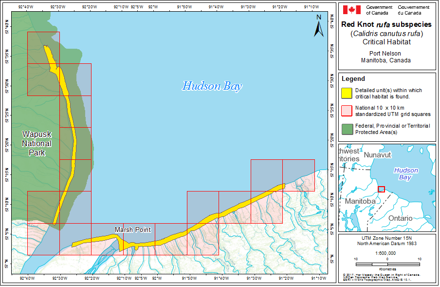 Map of Critical Habitat in Port Nelson, Manitoba
