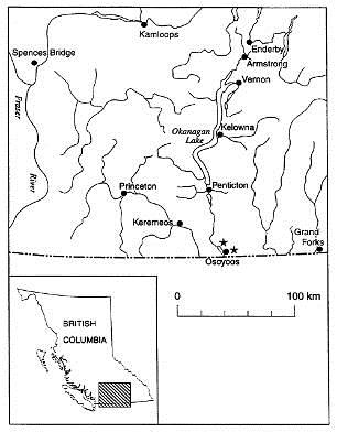 Map of southern British Coumbia showing the extant occurences of Scarlet Ammania around Osoyoos.