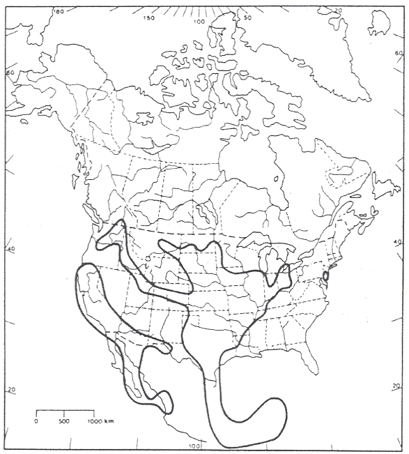 Map of North America showing the range of Scarlet Ammania from south-central British Columbia, south to Mexico and eastward through central North America to Ohio and southwestern Ontario.