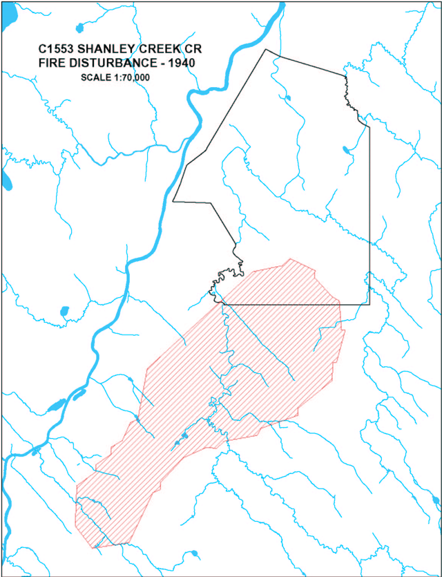 map of the Shanly Creek Conservation Reserve fire disturbance from 1940.