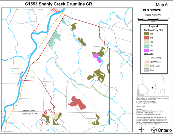 map of the Shanly Creek Drumlins Conservation Reserve old growth. Old growth is represented by Standard Forest Units including green for black spruce lowland, red for spruce pine, beige for lowland conifer, teal for poplar, and pink for spruce fir mixed and wetlands including green diagonal lines for treed muskeg, red diagonal lines for open muskeg, green cross-hatching for brush/alder and black dotted areas for rock.