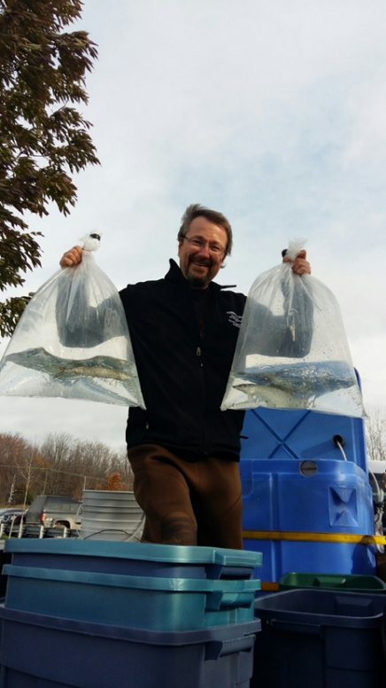 Un homme tenant deux sacs en plastique contenant des maskinongés vivants, un jour d’automne au lac Simcoe.