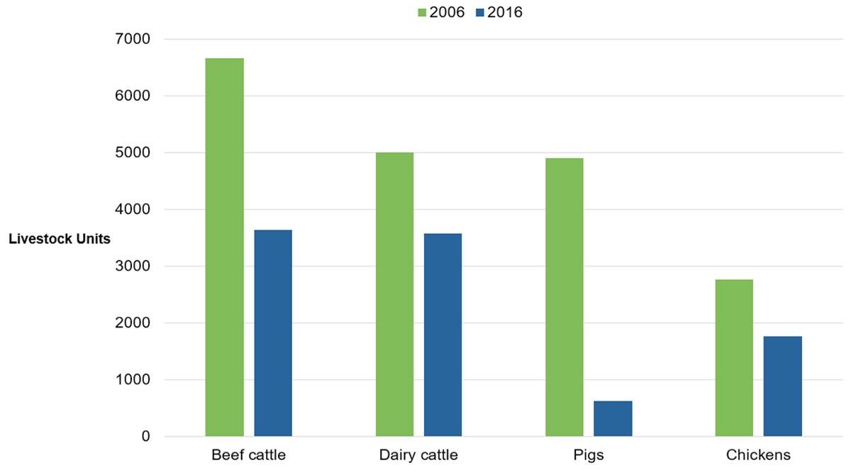This figure depicts a bar graph showing livestock nutrient units for beef, dairy, pigs and chickens in 2006 and 2016. Figure data were calculated for the Lake Simcoe Watershed from the StatsCan Census of Agriculture reports. The data shows an overall decrease in the nutrient units for all livestock categories with the largest relative decrease for pigs. Beef cattle decreased from 6,587 nutrient units to 3,587 units in 2016. Dairy cattle decreased from 5,061 nutrient units in 2006 to 3,572 units in 2016. Pigs decreased from 4,934 nutrient units in 2006 to 621 in 2016. Chickens decreased from 2,786 nutrient units in 2006 to 1,843 units in 2016.