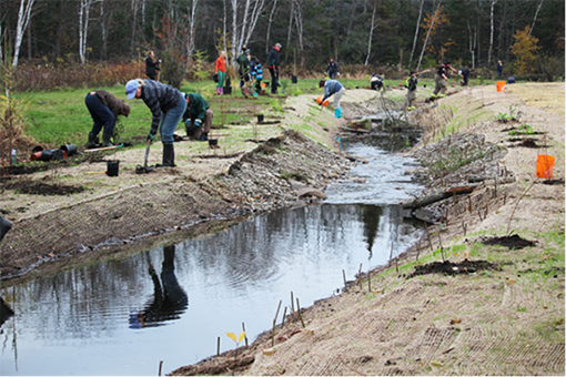 Un groupe réunissant de nombreuses personnes disséminées le long d’un canal, par une journée froide de l’automne, qui creusent à l’aide de pelles des trous destinés à recevoir des arbres. 