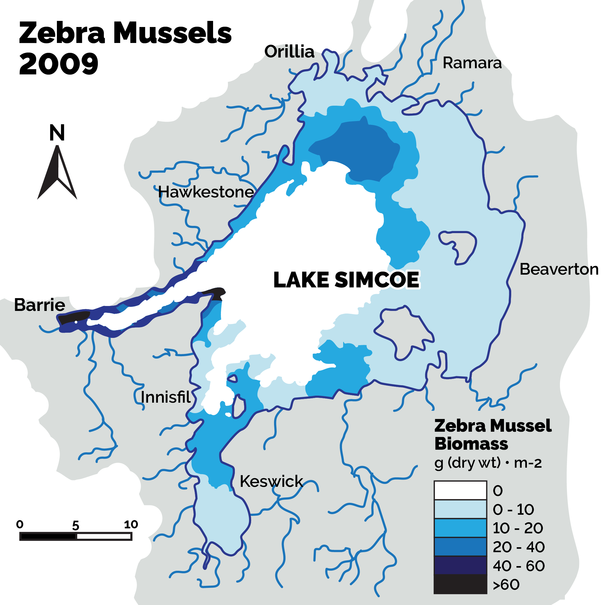 Zebra mussels in 2009
