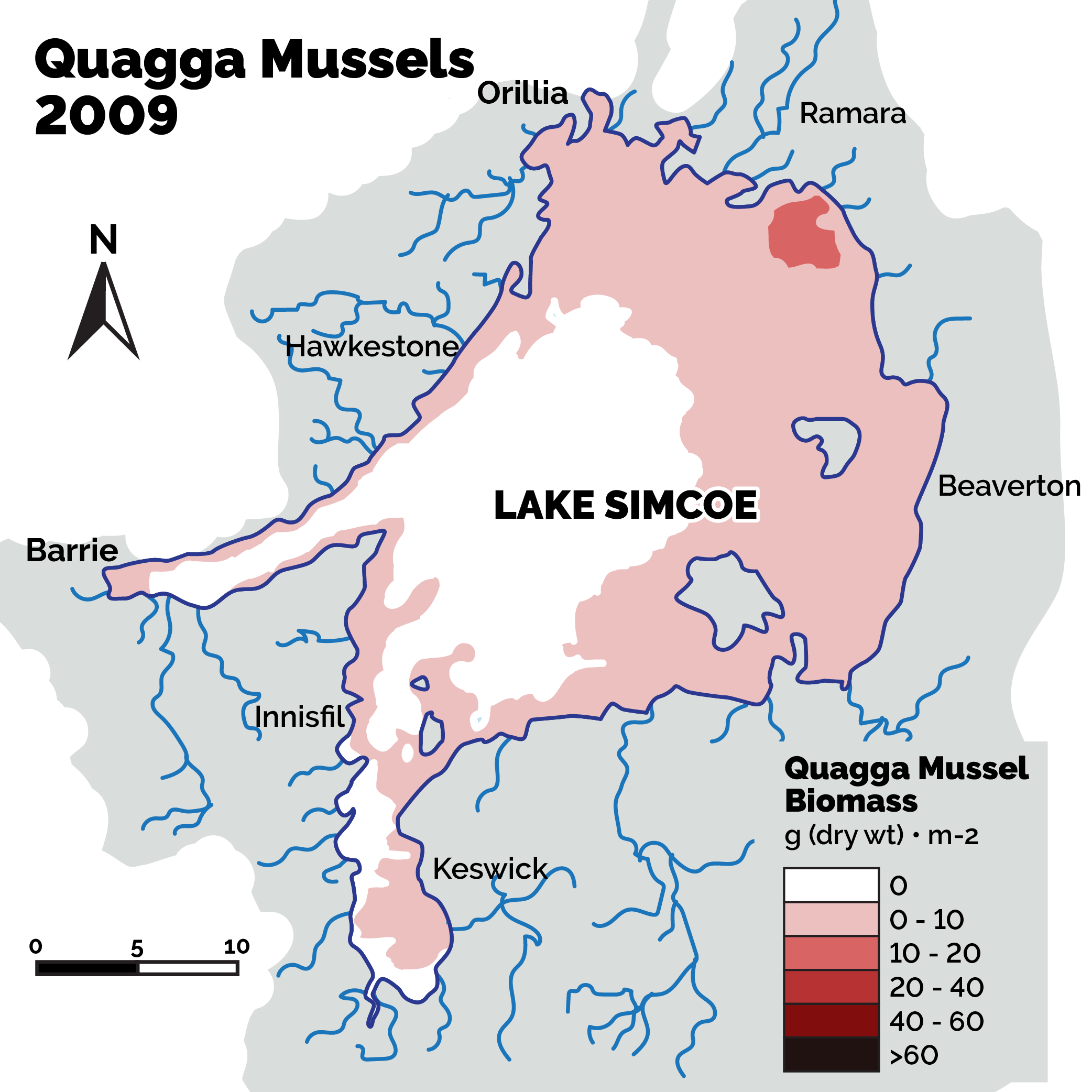 Quagga mussels in 2009