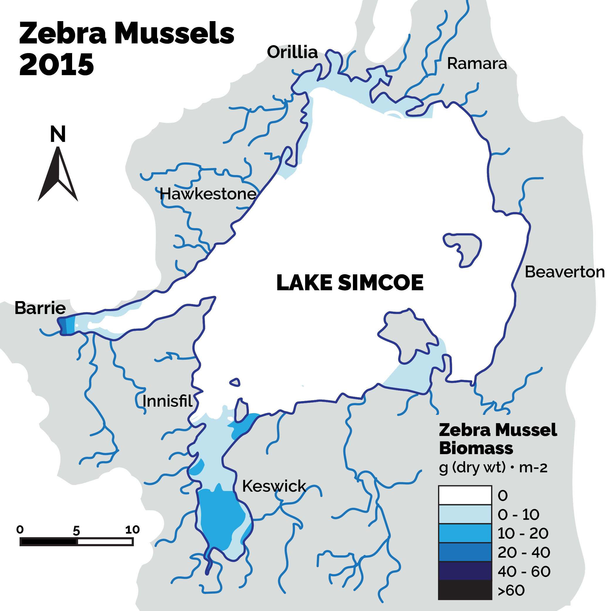 Zebra mussels in 2015