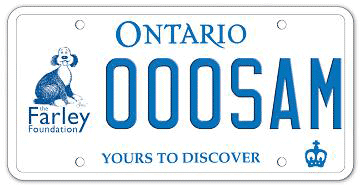 Illustration of Licence Plate - Farley Foundation
