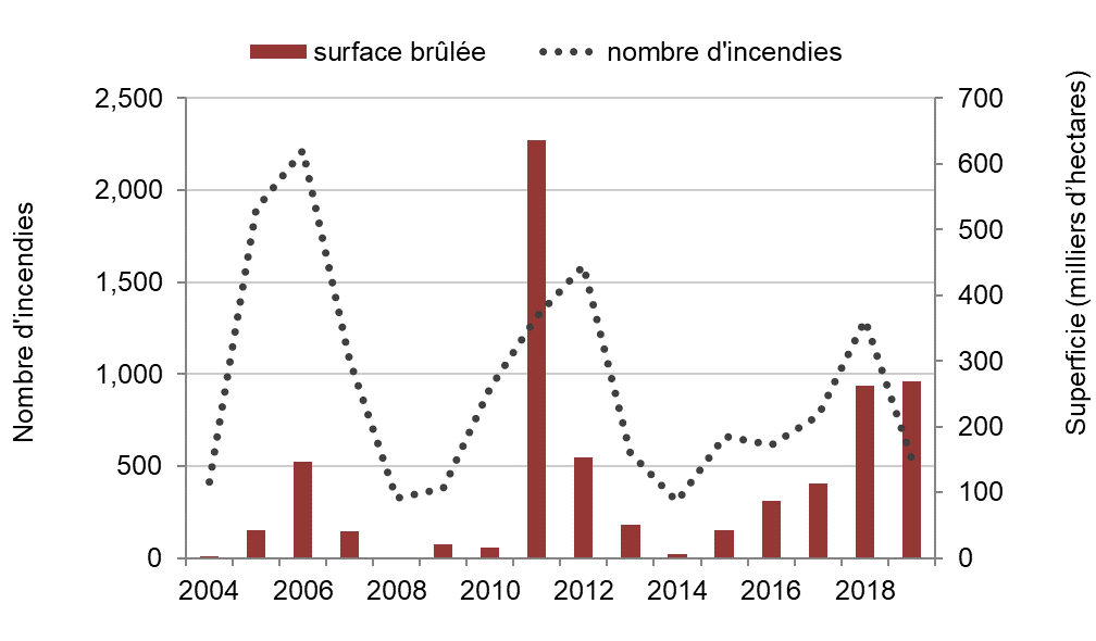 Graphique indiquant la superficie totale de forêt de l’Ontario brûlée et le nombre d’incendies de 2002 à 2019.