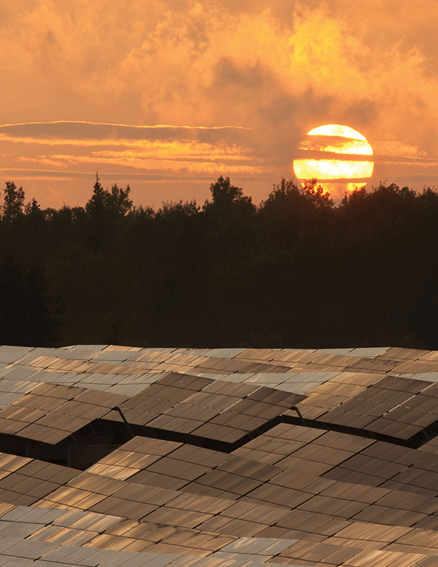Photo of a field of solar panels at sunset.