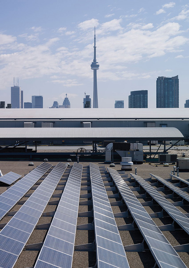 Photo de panneaux solaires sur un toit avec en arrière-plan la silhouette des grattes-ciels du centre-ville de Toronto.