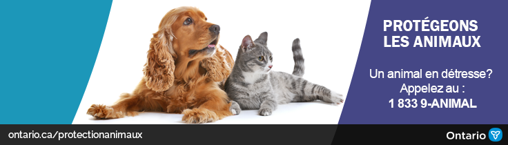 image de bannière d'un chien avec un panneau protège nos animaux et téléphone 1-833-9-ANIMAL