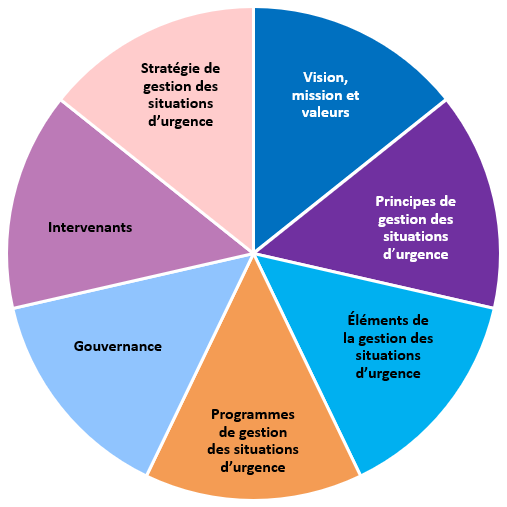 La gestion des situations d'urgence en Ontario est représentée par sept « secteurs » : la vision, la mission et les valeurs; les principes de gestion des situations d'urgence; les éléments de la gestion des situations d'urgence; les programmes de gestion des situations d'urgence; la gouvernance; les intervenants; et la stratégie de gestion des situations d'urgence.