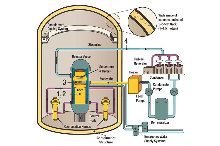 Dessin de l'intérieur d'un réacteur à eau bouillante montrant les diverses composantes, soit : la structure de confinement et ses murs de béton et d'acier de 3 à 5 pieds d'épaisseur; le cœur (dans une cuve de réacteur comprenant des barres de commande); les séparateurs et sécheurs; la conduite d'eau d'alimentation; les pompes de recirculation; le tuyau de vapeur; le système de refroidissement de l'ambiance du confinement; et les systèmes d'alimentation d'urgence en eau.