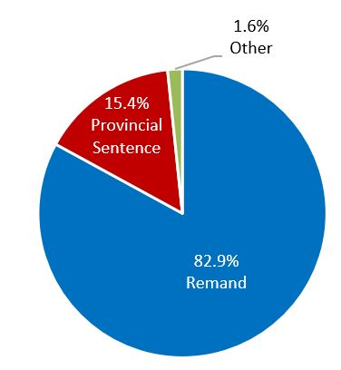This figure shows that the large majority (83%) of an average TSDC inmate population in 2017 was in custody on remand; about 15% were serving a provincial sentence, and 1.6% had an ‘other’ holding type (such as immigration hold, extradition order, or national parole violation). Note: Data taken from averages of monthly snapshot data in 2017. 'Other' holding type includes immigration holds, extradition orders, national parole violation, etc.