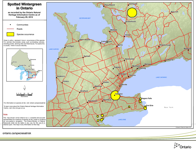 map of spotted wintergreen range.