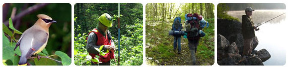 Bird, forester, hikers, boy fishing