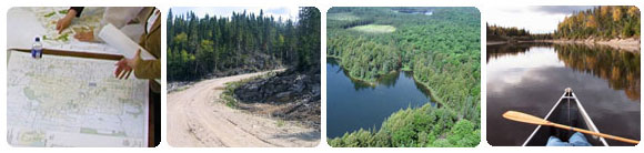 Forest plans, forest views, canoe on lake