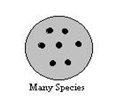 circle with many dots representing many species