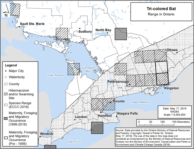Figure 11. Distribution of the range of Tri-colored Bat in Ontario
