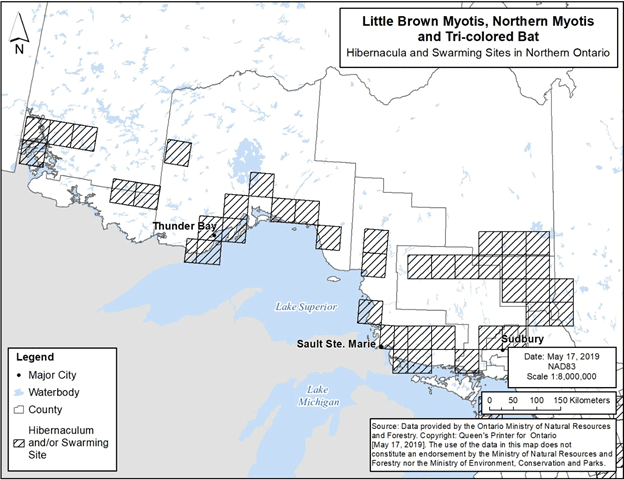 Figure 2. Locations of known hibernacula and swarming sites for Little Brown Myotis, Northern Myotis and Tri-colored Bat in northern Ontario.