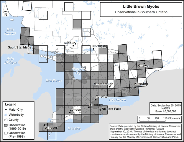 Figure 3. Current (1999-2019) and historic (pre-1999) observations of Little Brown Myotis in southern Ontario