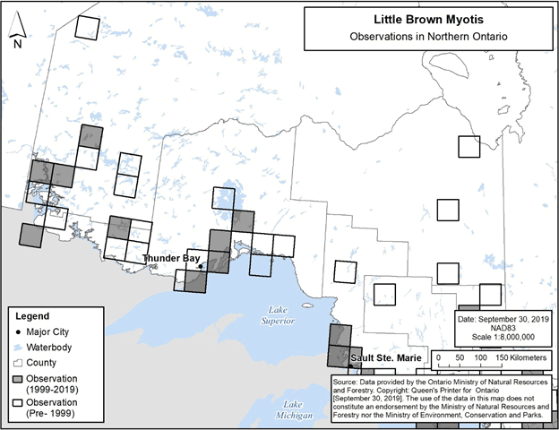 Figure 4. Current (1999-2019) and historic (pre-1999) observations of Little Brown Myotis in northern Ontario