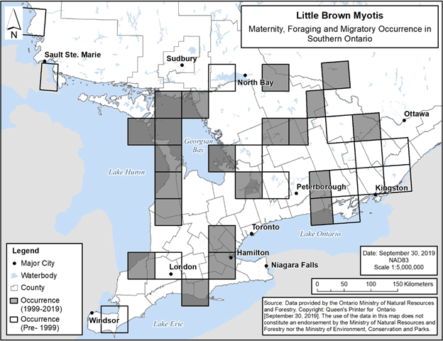 Figure 5. Current (1999-2019) and historic (pre-1999) maternity, foraging and migratory occurrence of Little Brown Myotis in southern Ontario