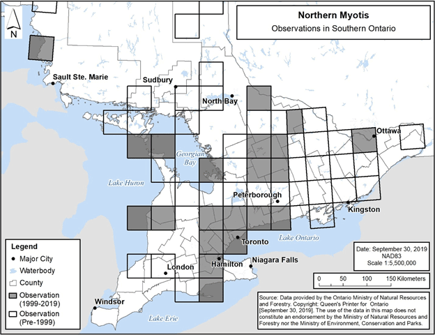 Figure 7. Current (1999-2019) and historic (pre-1999) observations of Northern Myotis in southern Ontario