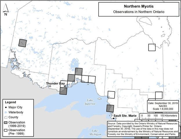 Figure 8. Current (1999-2019) and historic (pre-1999) observations of Northern Myotis in northern Ontario