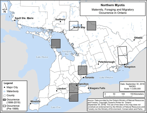 Figure 9. Current (1999-2019) and historic (pre-1999) maternity, foraging and migratory occurrence of Northern Myotis in Ontario