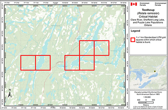 A map showing the location of Toothcup critical habitat within standardized 1 x 1 km grid squares.