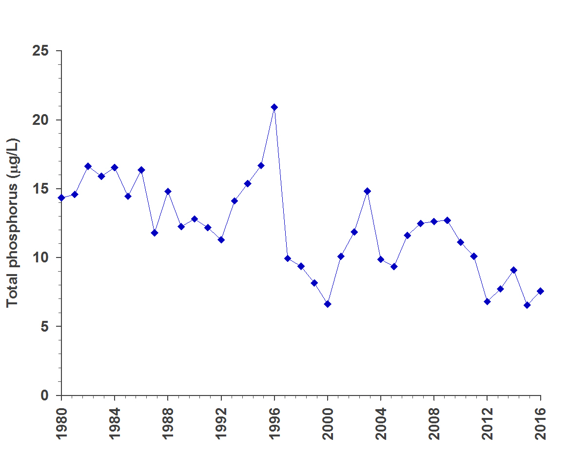 This graph shows average (yearly) changes from multiple sampling events in spring (samples collected between April 1 and June 20) phosphorus concentrations (micrograms per litre) between 1980 and 2016. During this time phosphorus concentrations have generally decreased.